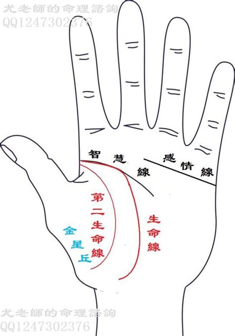 生命線分兩條|生命線怎樣看？分叉或斷開未必是壞兆頭｜原來左右手、男與女也 